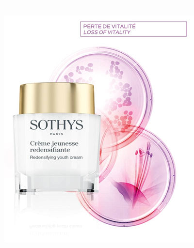 Sothys Paris Redensifying Youth Cream online bestellen - Cosmonde